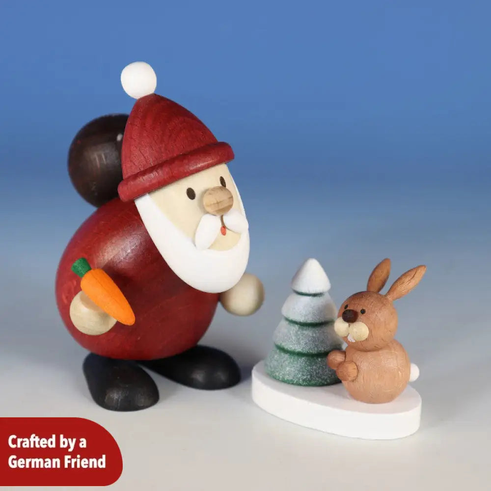 Santa Feeding A Bunny