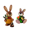 Rabbit and Animal Friends Bundle (Set of 2)