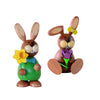 Rabbit Spring Flowers Bundle (Set of 2)