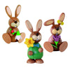 Rabbit Spring Flowers Bundle (Set of 3)