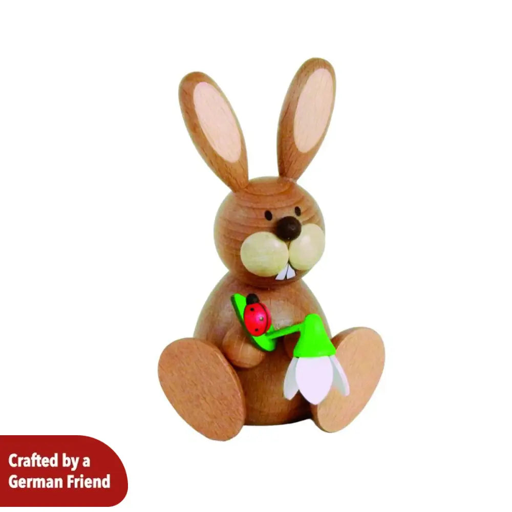 Rabbit with a snowdrop